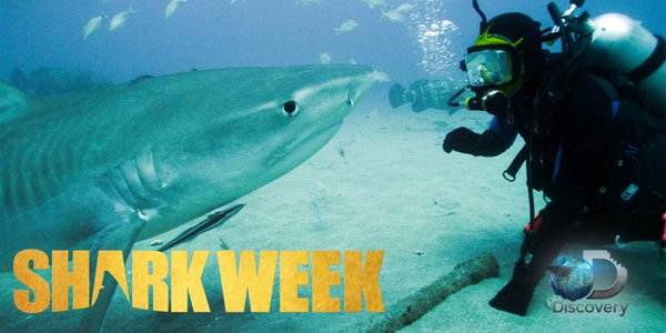 Ocean Sentinel Productions is proud to be a part of Discovery Channel's Shark Week